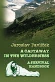 A Castaway in the Wilderness