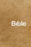 Bible 21