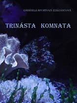 E-kniha: Trinásta komnata