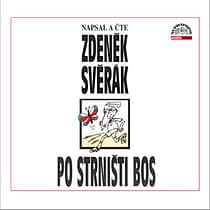 Audiokniha: Po strništi bos